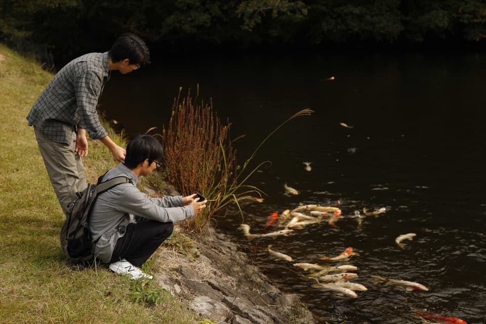 学生たちと鯉ヶ窪湿原を取材